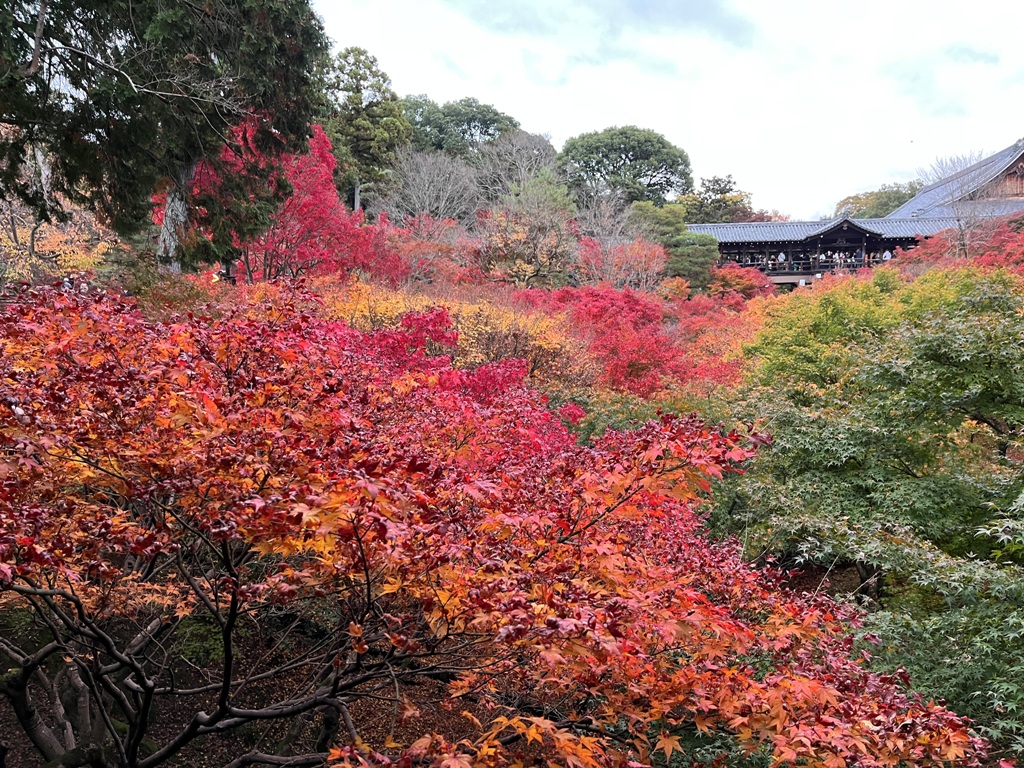 東福寺偃月橋