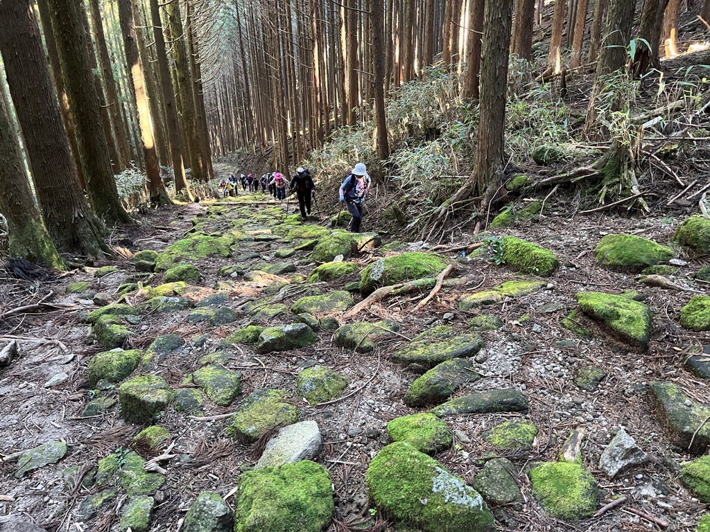 熊野古道
