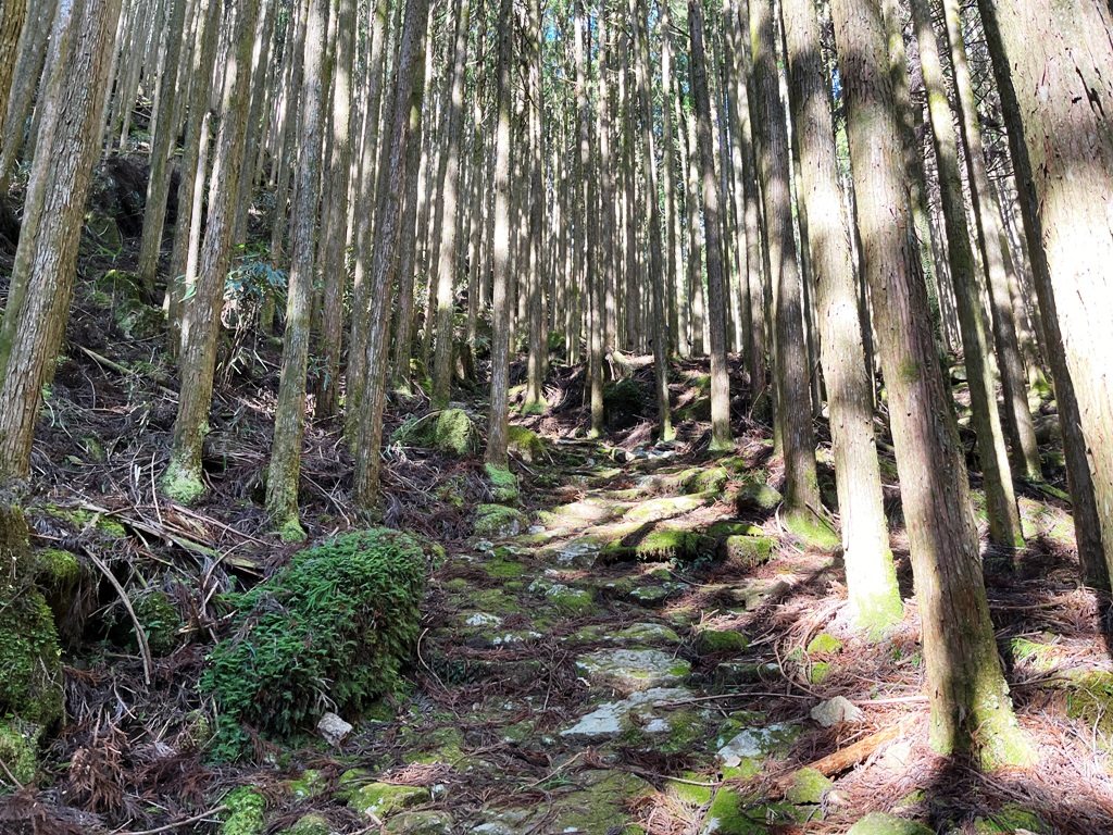 熊野古道